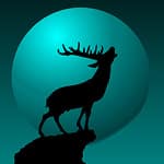 Nordic Hedge Index växte i februari