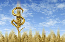 Hedge Fund Seeding: A White Paper