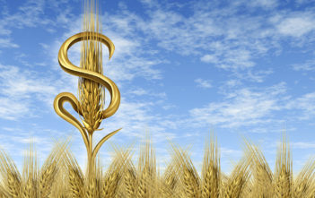 Hedge Fund Seeding: A White Paper