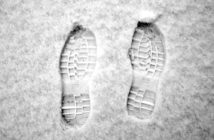 Nordic Footprints on Global Hedge Fund Awards