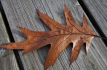 Strong November for Nordic Equity HFs