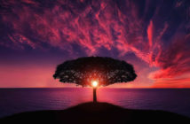 Hedge Fund Alpha: Cycle or Sunset?