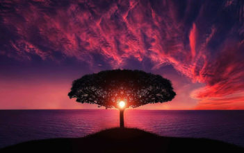 Hedge Fund Alpha: Cycle or Sunset?